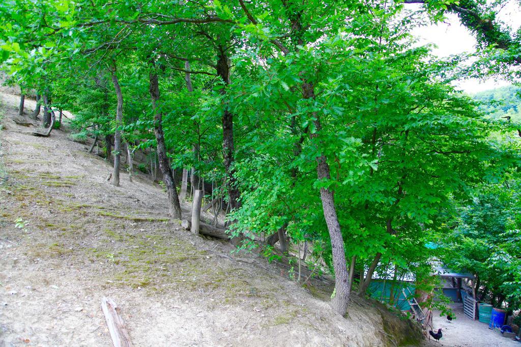 Agriturismo Biologico Villa Rosa Monte Guiduccio Dış mekan fotoğraf