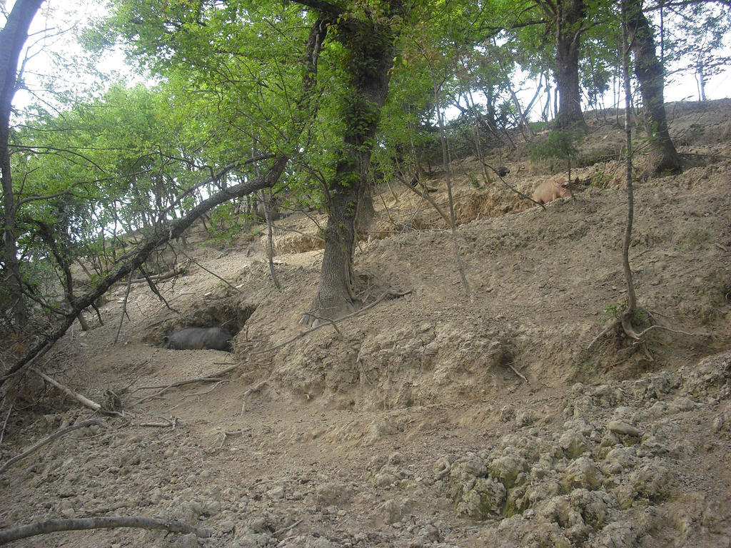 Agriturismo Biologico Villa Rosa Monte Guiduccio Dış mekan fotoğraf