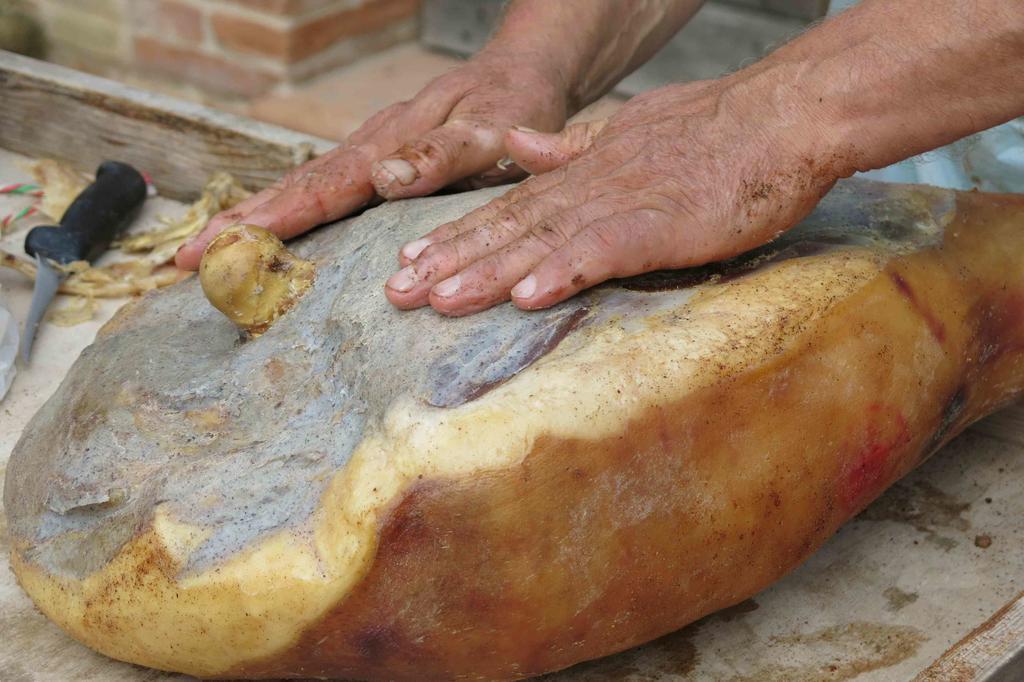 Agriturismo Biologico Villa Rosa Monte Guiduccio Dış mekan fotoğraf