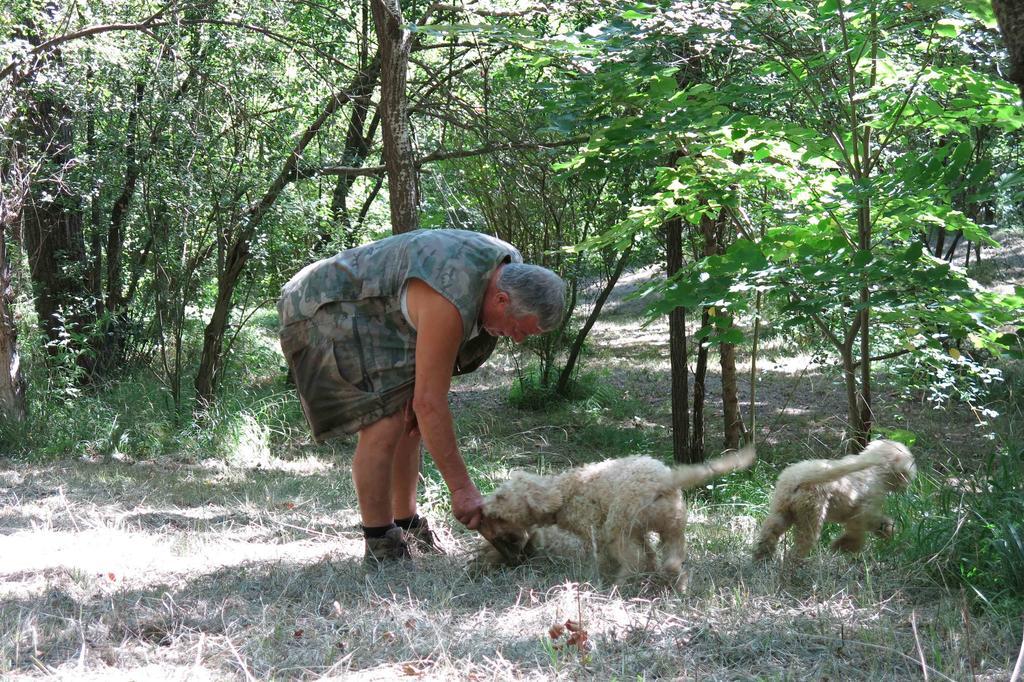 Agriturismo Biologico Villa Rosa Monte Guiduccio Dış mekan fotoğraf