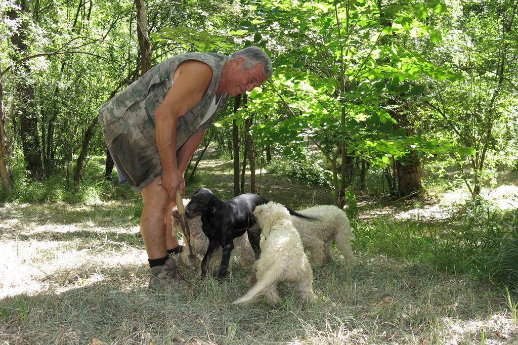 Agriturismo Biologico Villa Rosa Monte Guiduccio Dış mekan fotoğraf