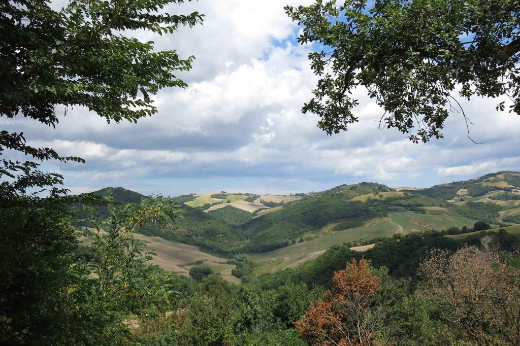 Agriturismo Biologico Villa Rosa Monte Guiduccio Dış mekan fotoğraf